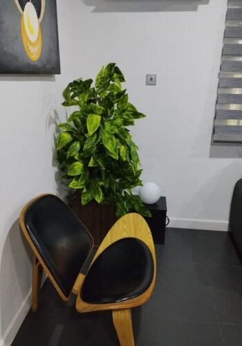 WhatsApp Image 2026-04-04 at 5.00.29 PM